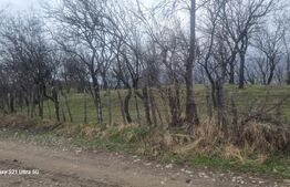 TEREN INTRAVILAN VEDERE PANORAMICA 3781 MP  La 2 km de Manastirea CRASNA