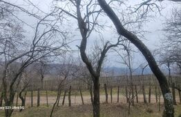 TEREN INTRAVILAN VEDERE PANORAMICA La 2 km de Manastirea CRASNA