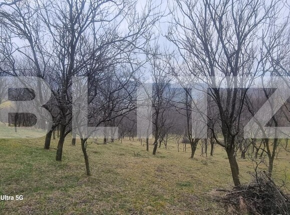 Teren de vânzare Schiulesti - 192121TV | BLITZ Ploieşti | Poza4