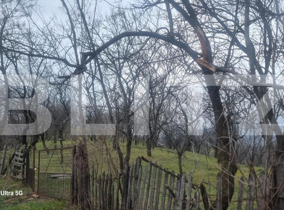 Teren de vânzare Schiulesti - 192121TV | BLITZ Ploieşti | Poza13