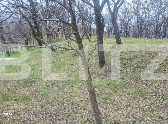 Teren de vânzare Schiulesti - 192121TV | BLITZ Ploieşti | Poza11