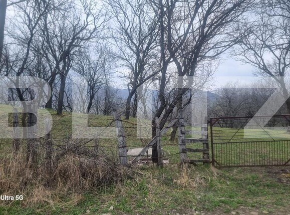 Teren de vânzare Schiulesti - 192121TV | BLITZ Ploieşti | Poza9