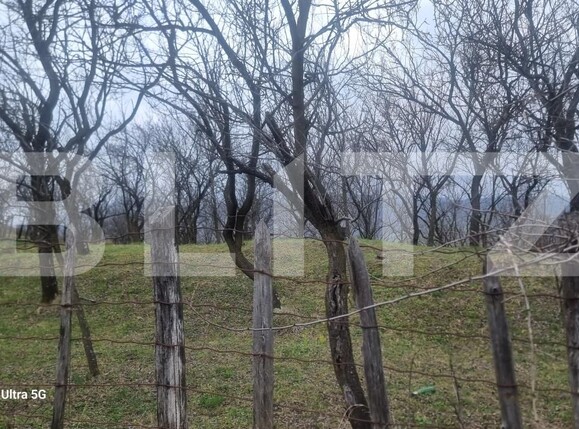 Teren de vânzare Schiulesti - 192121TV | BLITZ Ploieşti | Poza1