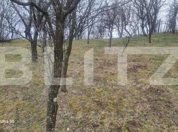 Teren de vânzare Schiulesti - 192121TV | BLITZ Ploieşti | Poza2