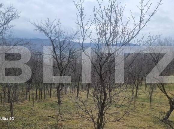 Teren de vânzare Schiulesti - 192121TV | BLITZ Ploieşti | Poza3