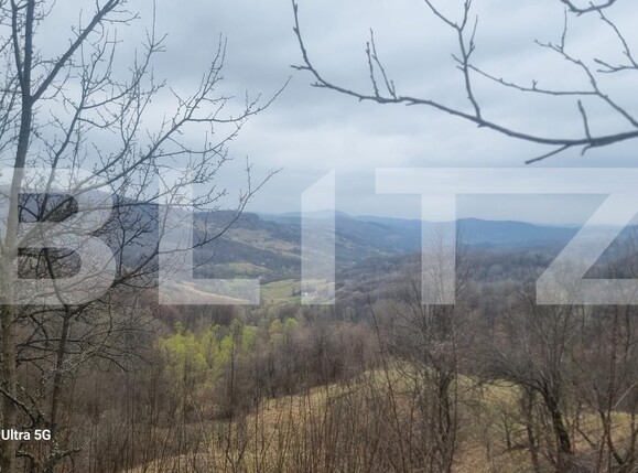 Teren de vânzare Schiulesti - 192121TV | BLITZ Ploieşti | Poza7