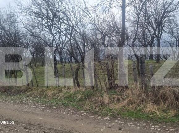 Teren de vânzare Schiulesti - 192121TV | BLITZ Ploieşti | Poza12