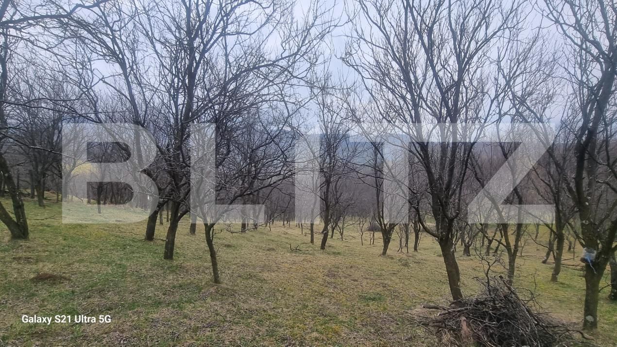 Teren de vânzare Schiulesti - 192121TV | BLITZ Ploieşti | Poza4