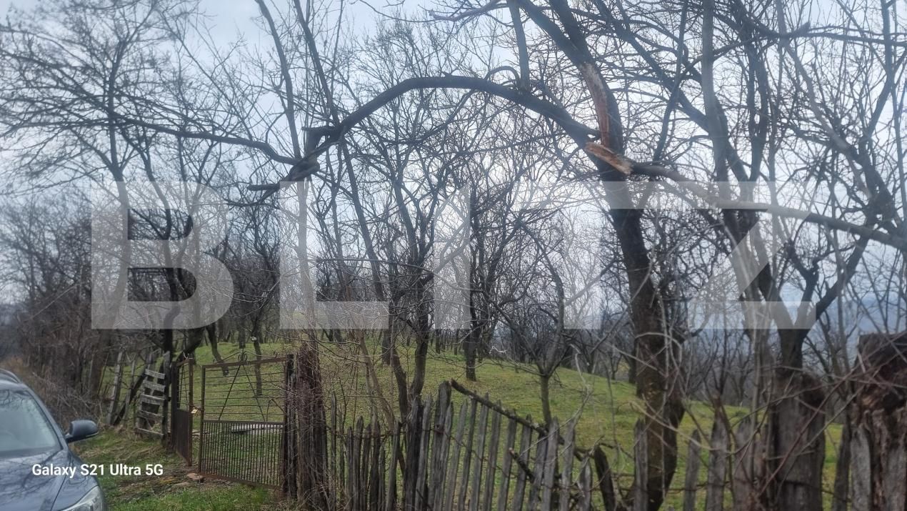 Teren de vânzare Schiulesti - 192121TV | BLITZ Ploieşti | Poza13