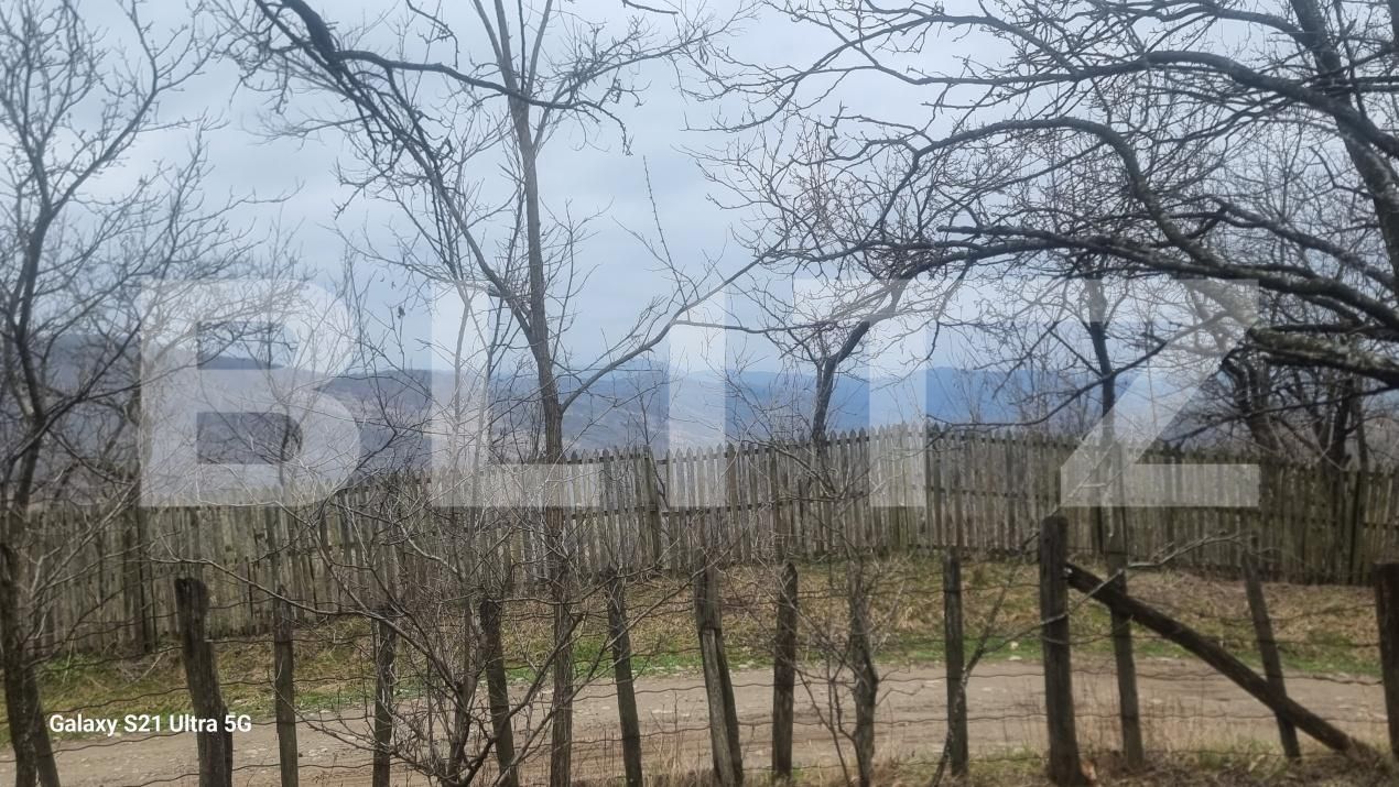 Teren de vânzare Schiulesti - 192121TV | BLITZ Ploieşti | Poza8