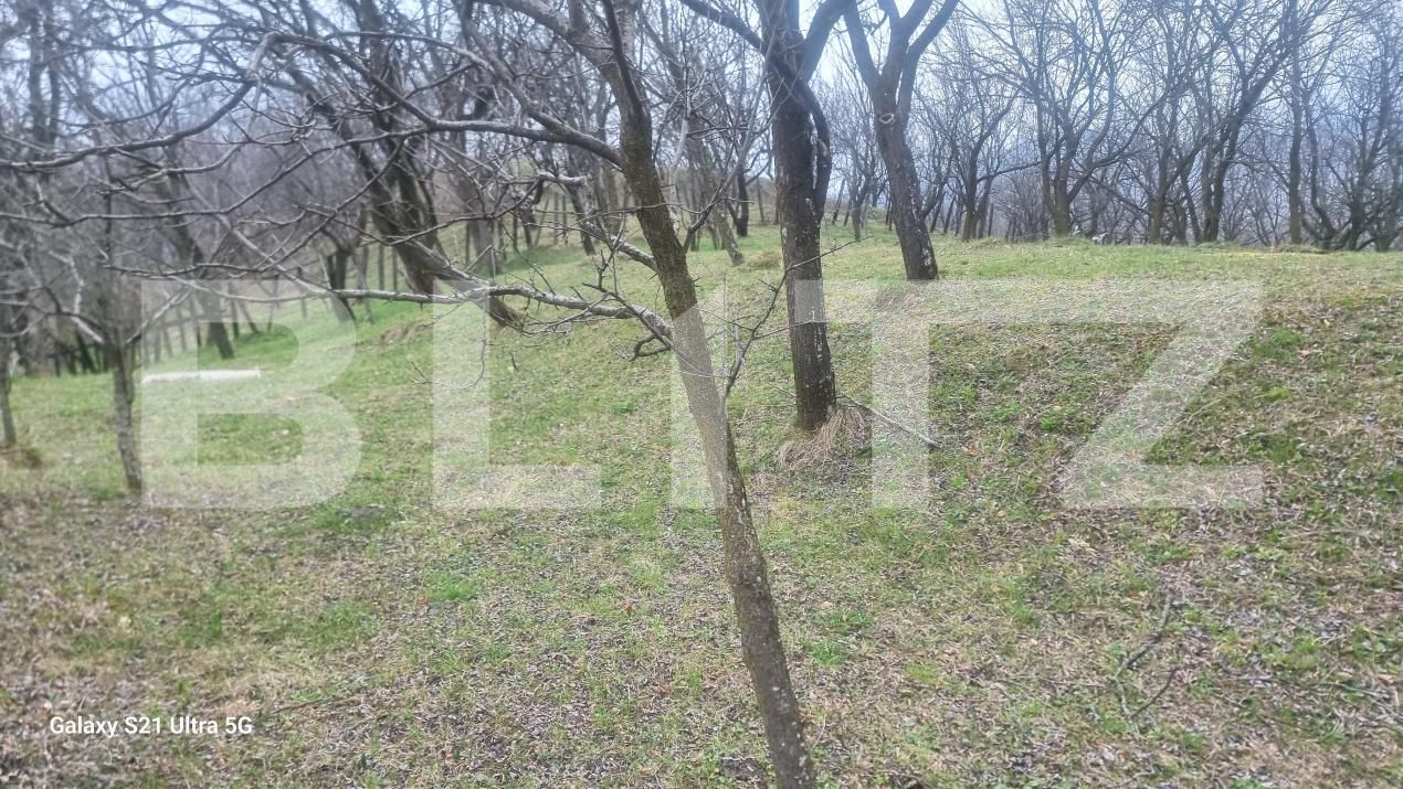 Teren de vânzare Schiulesti - 192121TV | BLITZ Ploieşti | Poza11