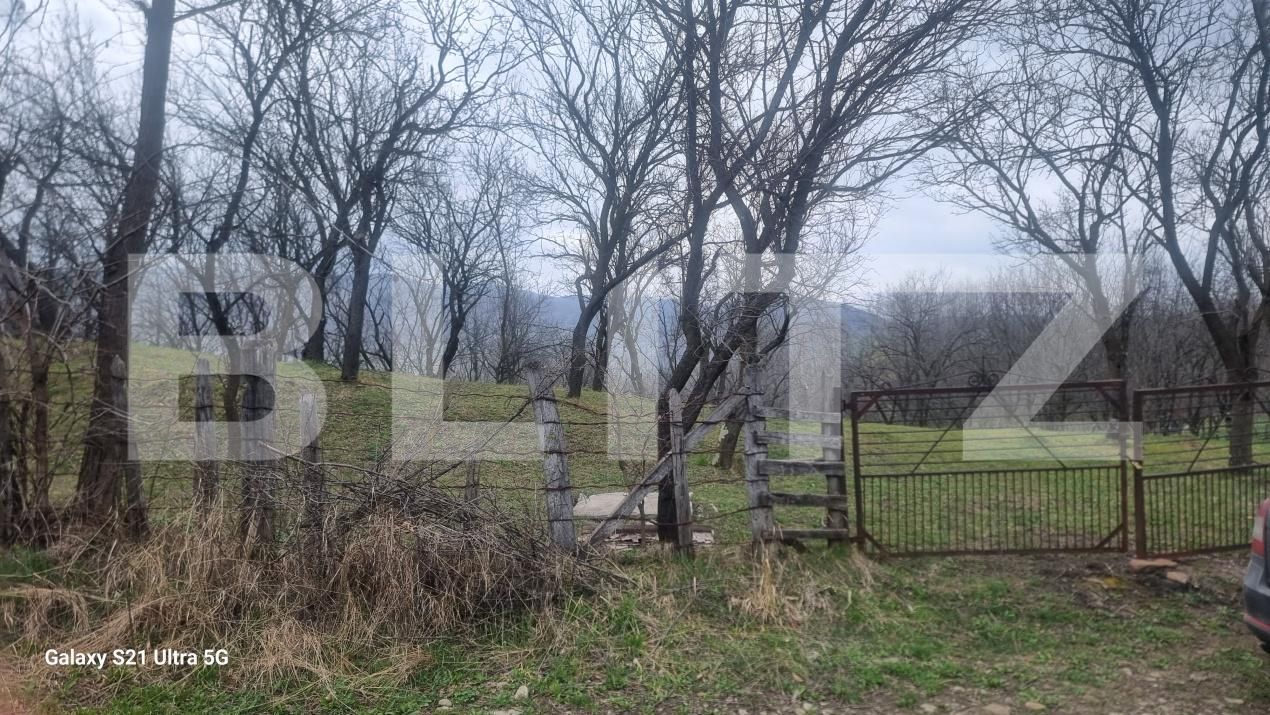 Teren de vânzare Schiulesti - 192121TV | BLITZ Ploieşti | Poza9