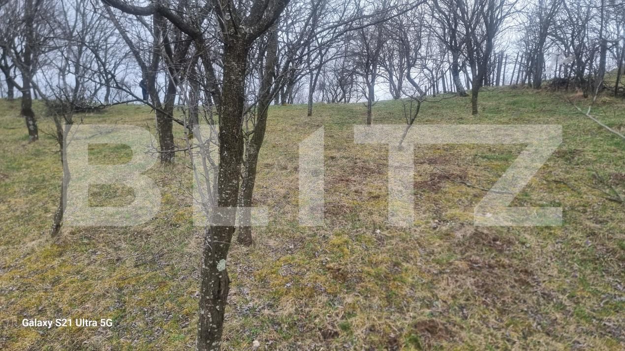 Teren de vânzare Schiulesti - 192121TV | BLITZ Ploieşti | Poza2