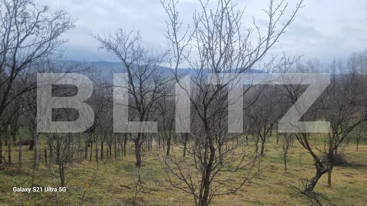 Teren de vânzare Schiulesti - 192121TV | BLITZ Ploieşti | Poza3