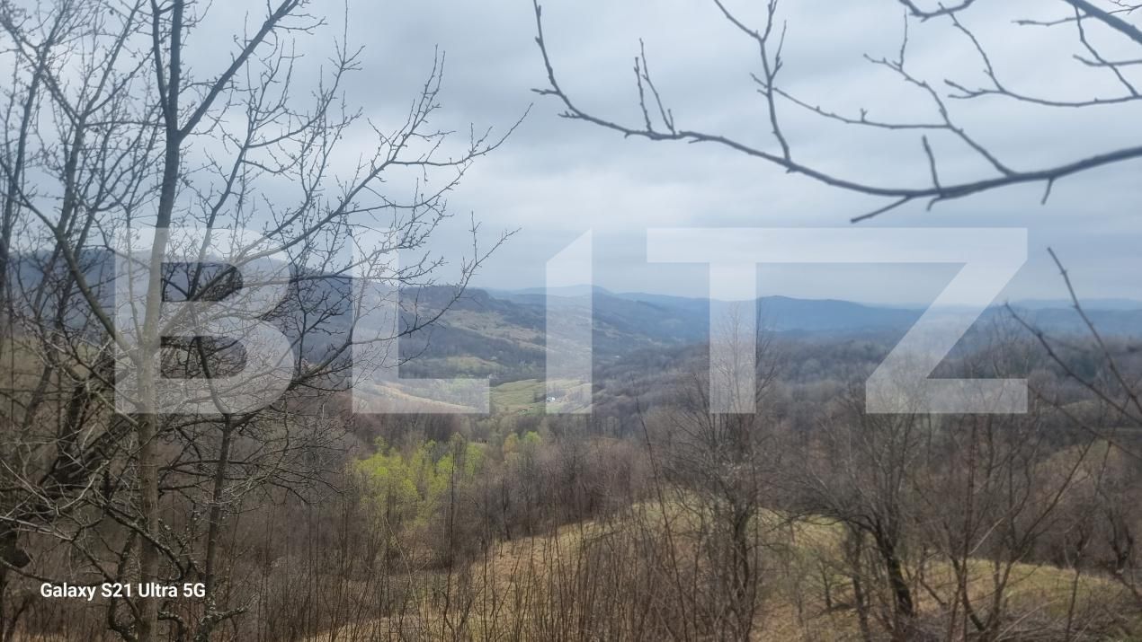 Teren de vânzare Schiulesti - 192121TV | BLITZ Ploieşti | Poza7