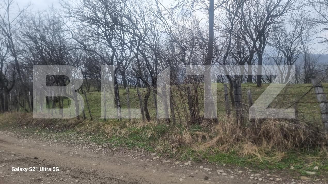 Teren de vânzare Schiulesti - 192121TV | BLITZ Ploieşti | Poza12