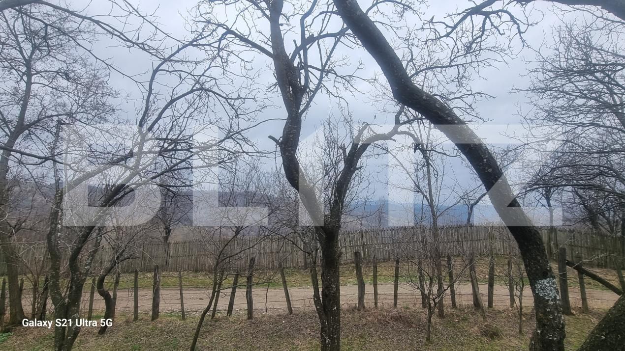 Teren de vânzare Schiulesti - 192121TV | BLITZ Ploieşti | Poza6