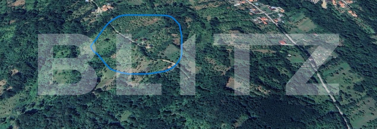 Teren de vânzare Schiulesti - 192121TV | BLITZ Ploieşti | Poza15