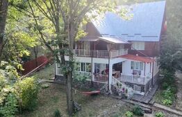 Vilă spațioasă de vanzare in Breaza, 270 mp utili si teren de 6242 mp