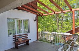 Vilă spațioasă de vanzare in Breaza, 270 mp utili si teren de 6242 mp