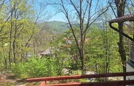 Vilă spațioasă de vanzare in Breaza, 270 mp utili si teren de 6242 mp