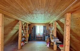 Vilă spațioasă de vanzare in Breaza, 270 mp utili si teren de 6242 mp