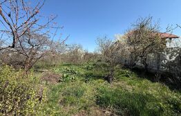 Casă de vânzare Păulești