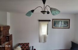 TEREN zona aer curat CASA si ANEXA