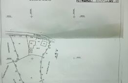 TEREN zona aer curat CASA si ANEXA