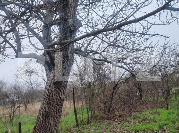 Teren de vânzare Scorteni - 192304TV | BLITZ Ploieşti | Poza4