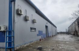 Hala moderna, pod rulant, 720 mp, platforma betonata 1700mp PLOIESTI