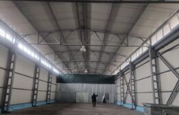 Hala moderna, pod rulant, 720 mp, platforma betonata 1700mp PLOIESTI