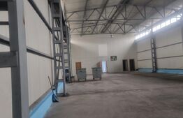 Hala moderna, pod rulant, 720 mp, platforma betonata 1700mp PLOIESTI