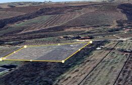 Teren Vanzare Plopu(GALMEIA)Oportunitate Investitie-DEZVOLTATOR IMOBILIAR