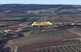 Teren Vanzare Plopu(GALMEIA)Oportunitate Investitie-DEZVOLTATOR IMOBILIAR