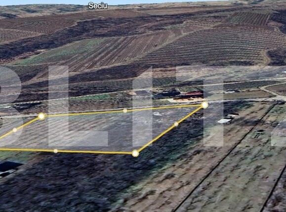 Teren de vânzare Plopu - 192539TV | BLITZ Ploieşti | Poza1