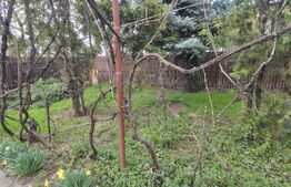 Casa cu 3 camere, curte verde si spatioasa 400 mp,zona Bariera Bucuresti