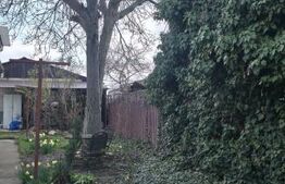 Casa cu 3 camere, curte verde si spatioasa 400 mp,zona Bariera Bucuresti