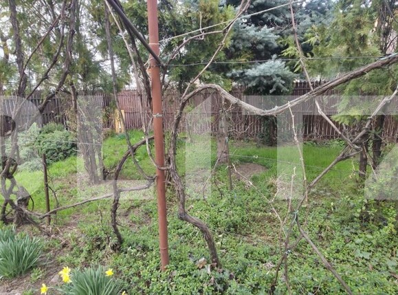 Casa de vânzare 3 camere B-dul București - 192663CV | BLITZ Ploieşti | Poza16