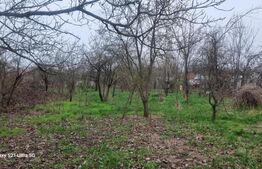 TEREN zona aer curat CASA si ANEXA SCORTENI/PH