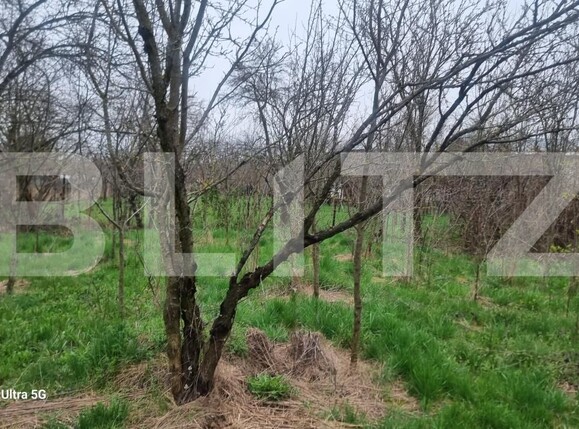 Casa de vânzare 3 camere Scorteni - 192802CV | BLITZ Ploieşti | Poza13