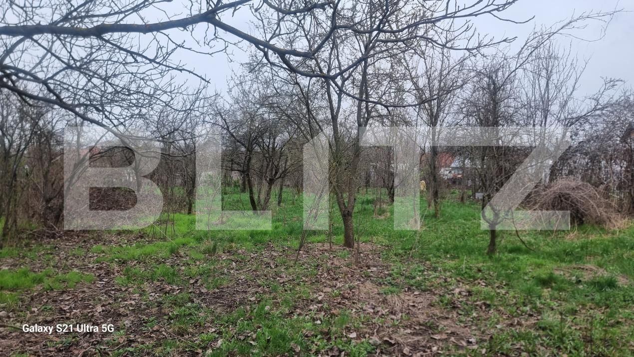 Casa de vânzare 3 camere Scorteni - 192802CV | BLITZ Ploieşti | Poza14