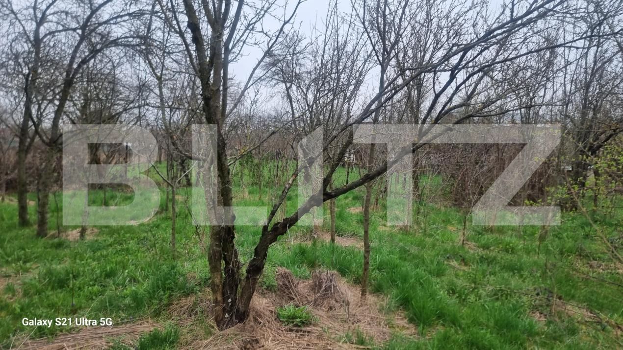 Casa de vânzare 3 camere Scorteni - 192802CV | BLITZ Ploieşti | Poza13