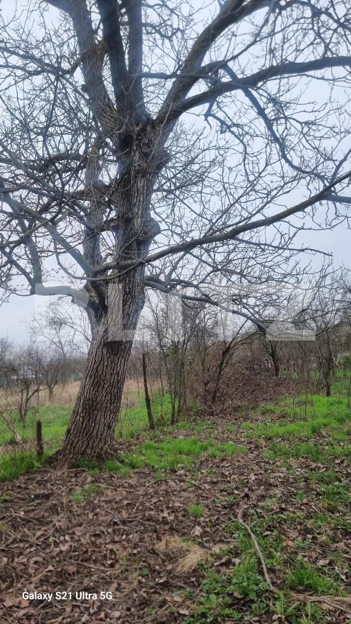 Casa de vânzare 3 camere Scorteni - 192802CV | BLITZ Ploieşti | Poza15