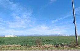 Oportunitate investiție – Teren 5,9 ha în Parcul Industrial