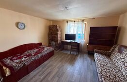 Casa de vanzare in Strejnicu – ideala pentru locuit sau investitie