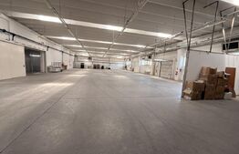 Hala de productie, spatii depozitare, parcare, cladire cu birouri, teren 14474mp