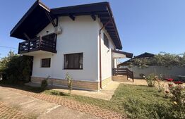 Vila deosebita langa padure in Plopu Nisipoasa. 