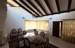 Vila deosebita langa padure in Plopu Nisipoasa. 