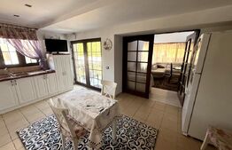 Vila deosebita langa padure in Plopu Nisipoasa. 